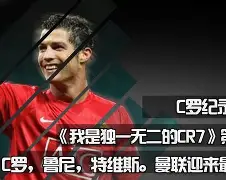 平博APP-国王队篮球