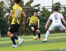 朝廷鹰犬凌臣有第三部